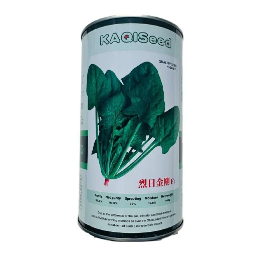南京烈日金刚菠菜种籽新引进杂交一代菠菜品种耐热菠菜种籽叶片大肥厚