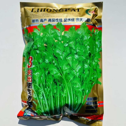 三天出速生香菜种子耐热耐寒耐抽薹春秋四季香菜籽大叶芫荽种子