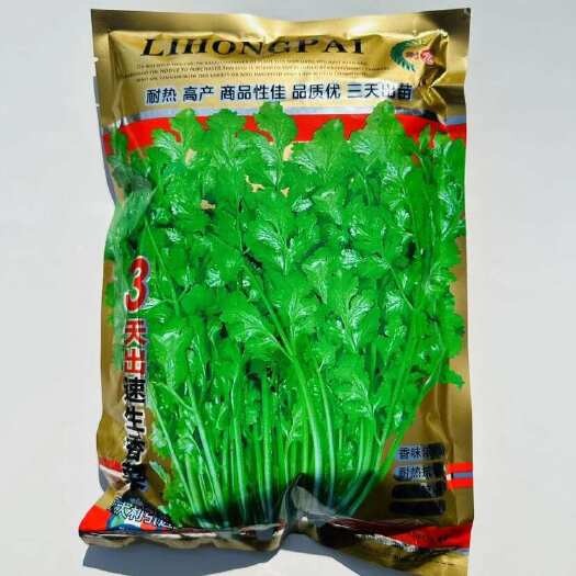 淮安三天出速生香菜种子耐热耐寒耐抽薹春秋四季香菜籽大叶芫荽种子