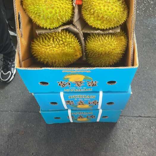  榴莲