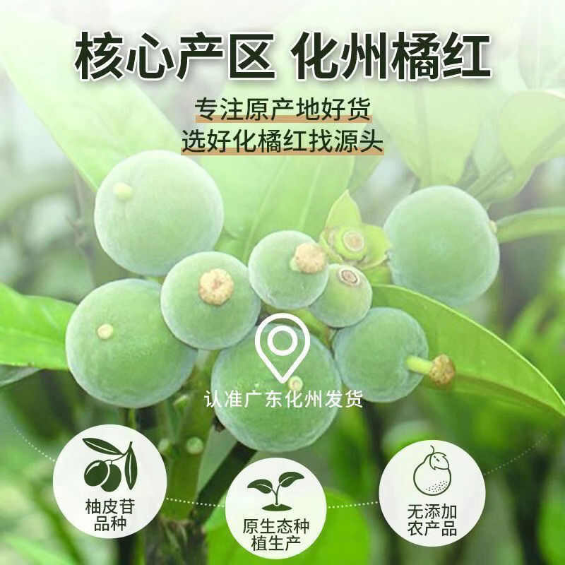 正品化橘红果厂家直销原产地批发化州橘红大果