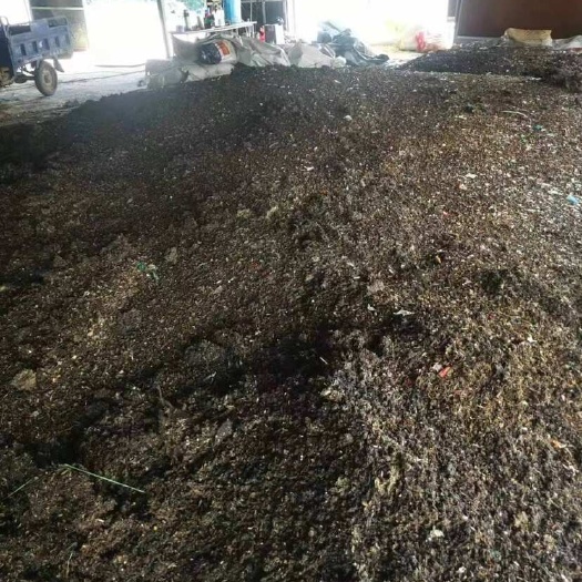 惠州黑水虻虫粪