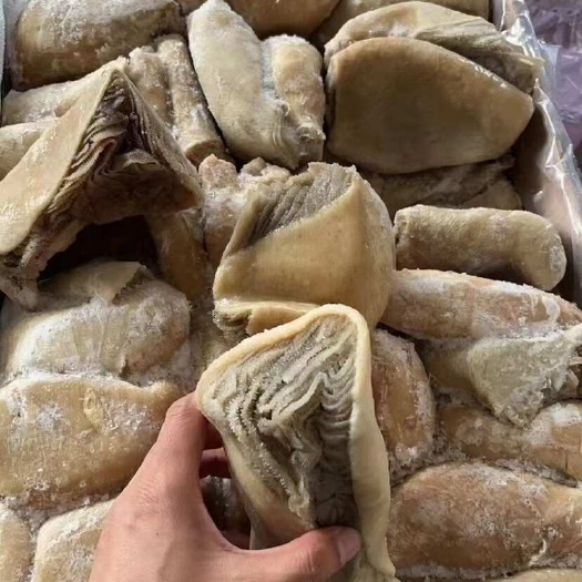 广州黄栢叶
