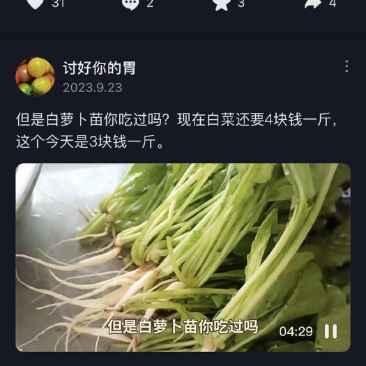 蘿卜菜