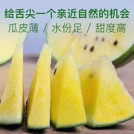 上海金山小皇冠