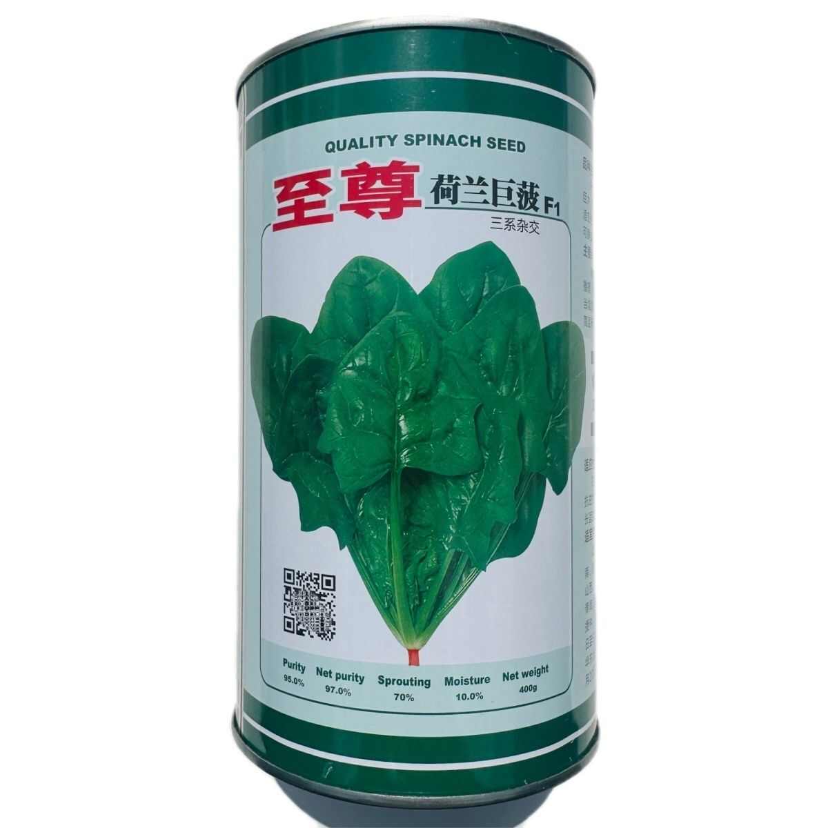 荷兰巨菠菠菜种籽四季大田杂交菠菜品种叶片浓绿肥厚耐寒耐热