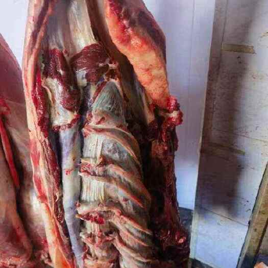 哈尔滨纯干冷鲜牛肉