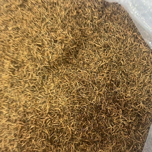 三江县高山云雾茶