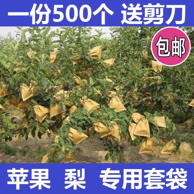 秋月梨套袋黄金梨专用套袋双层单层