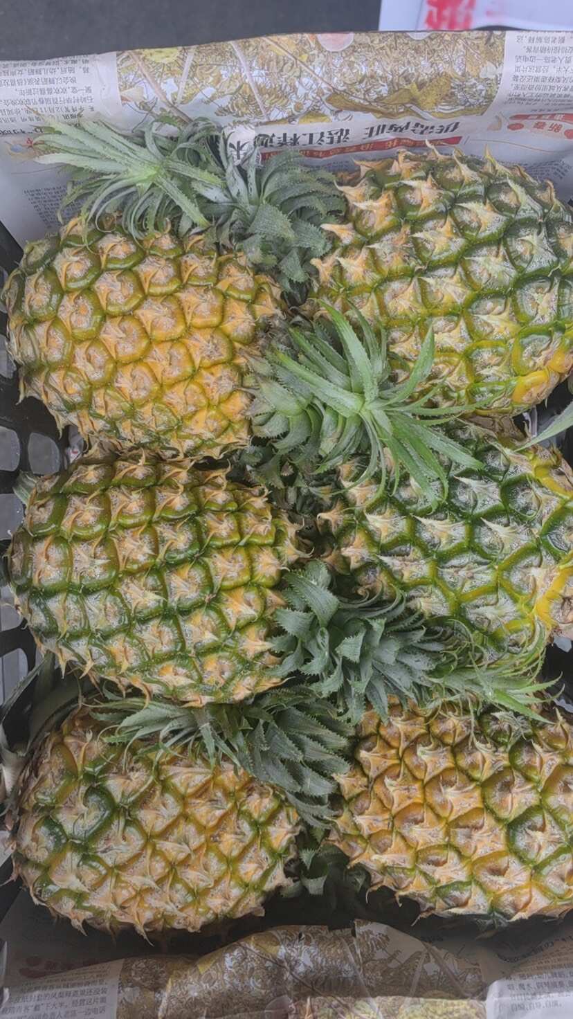 广东徐闻香水菠萝批发代发 大中小果 3/5/8 斤 1 斤起