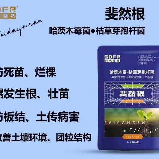 郑州斐然根