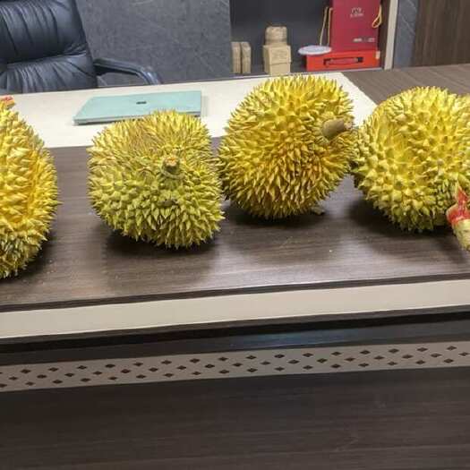 深圳泰国金枕