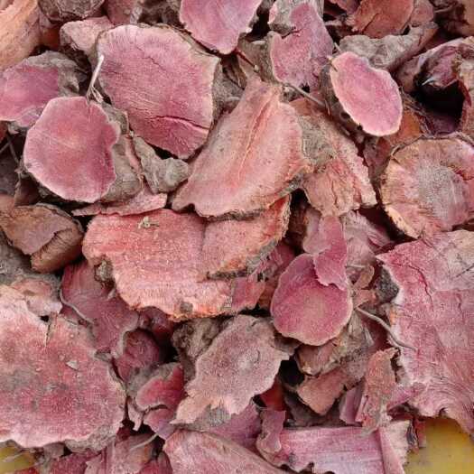 昆明红肉土茯苓