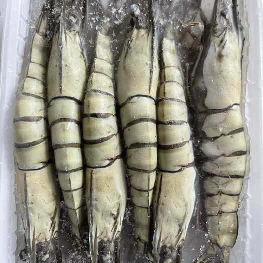 东山县黑虎虾
