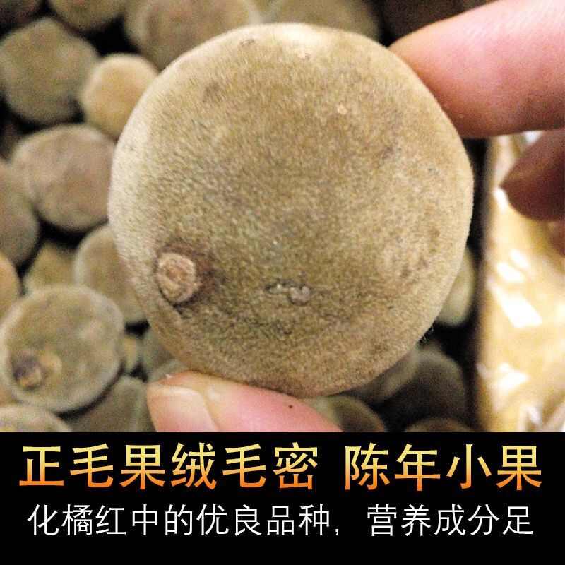 正品化橘红果厂家直销原产地批发化州橘红大果