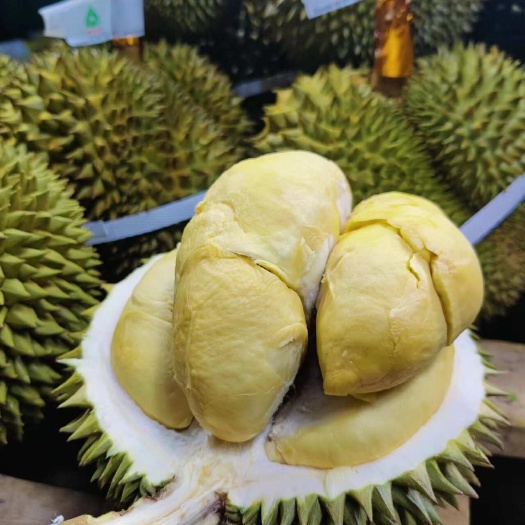 昆明一件代发 泰国长柄金枕榴莲每个包三房