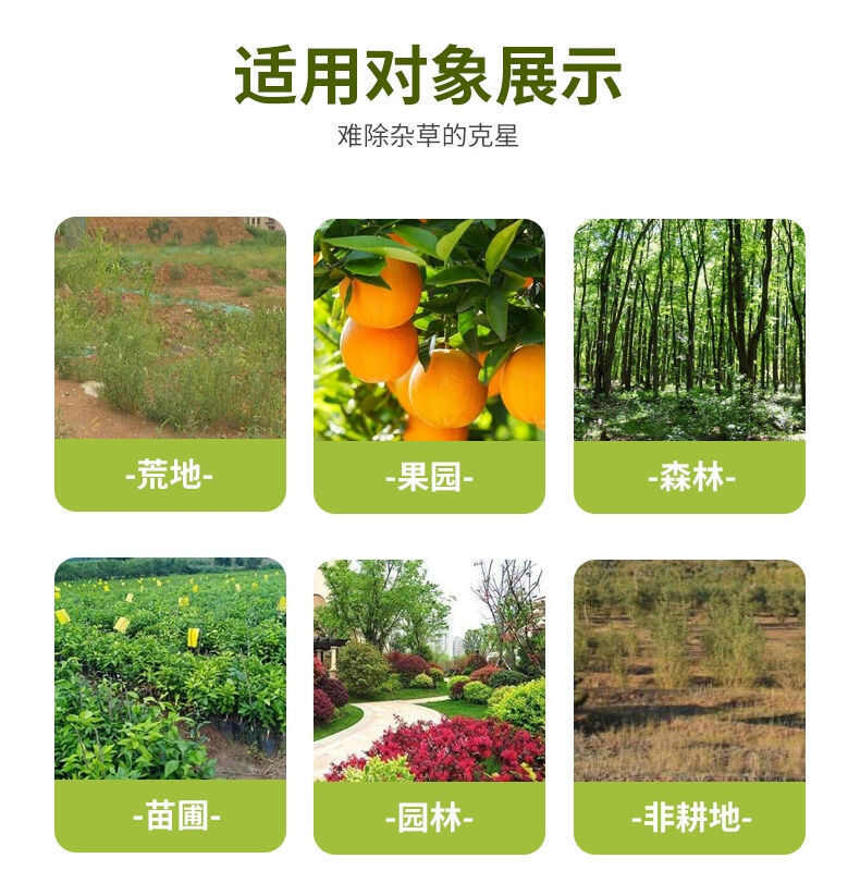 95％草甘膦铵盐高浓度除草剂果园荒地路边顽固性杂草斩草除根