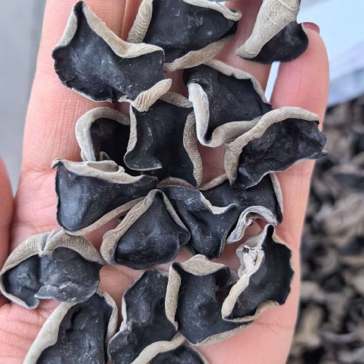 2024年头茬黑木耳泡发率高黑龙江头茬黑木耳精品1.2