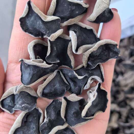 丰林县2025年头茬黑木耳泡发率高黑龙江头茬黑木耳精品1.2