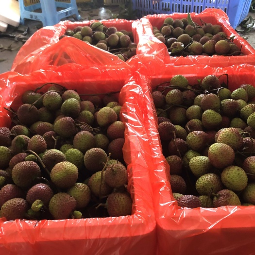 高州市高州根子妃子笑荔枝精品果现摘孕妇水果京东或顺丰空运外省链接