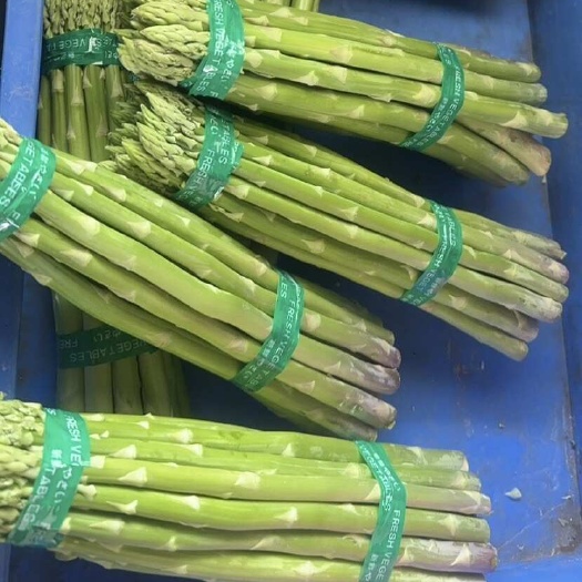 蕭縣蘆筍