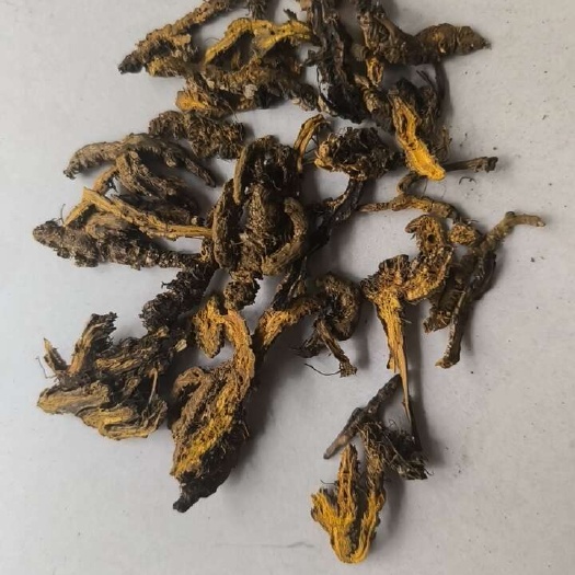 亳州黄连