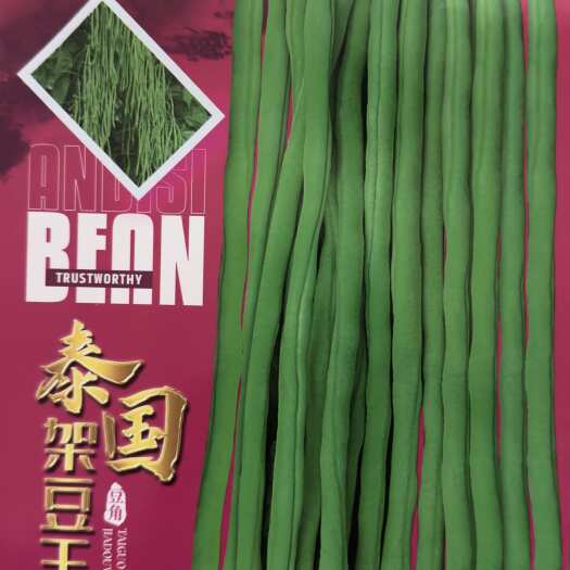 架豆王/无筋豆