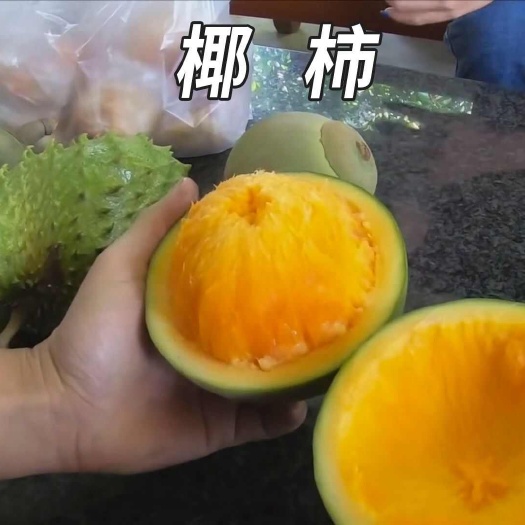 灵山县椰柿苗，营养杯苗带土带叶发货的