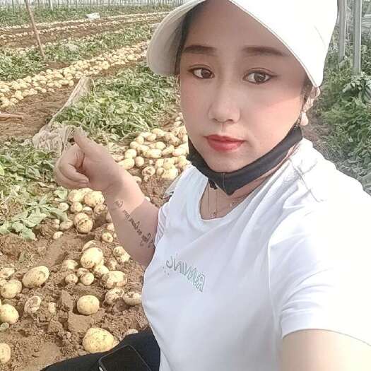 绥中县绥中棚里沃土五号大量起货中