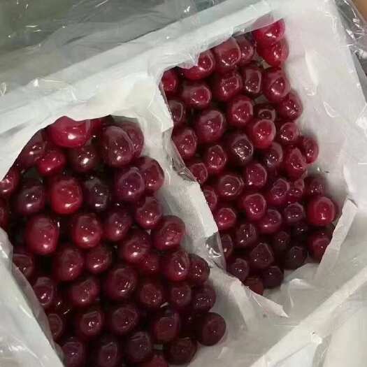 汉源县车厘子/樱桃