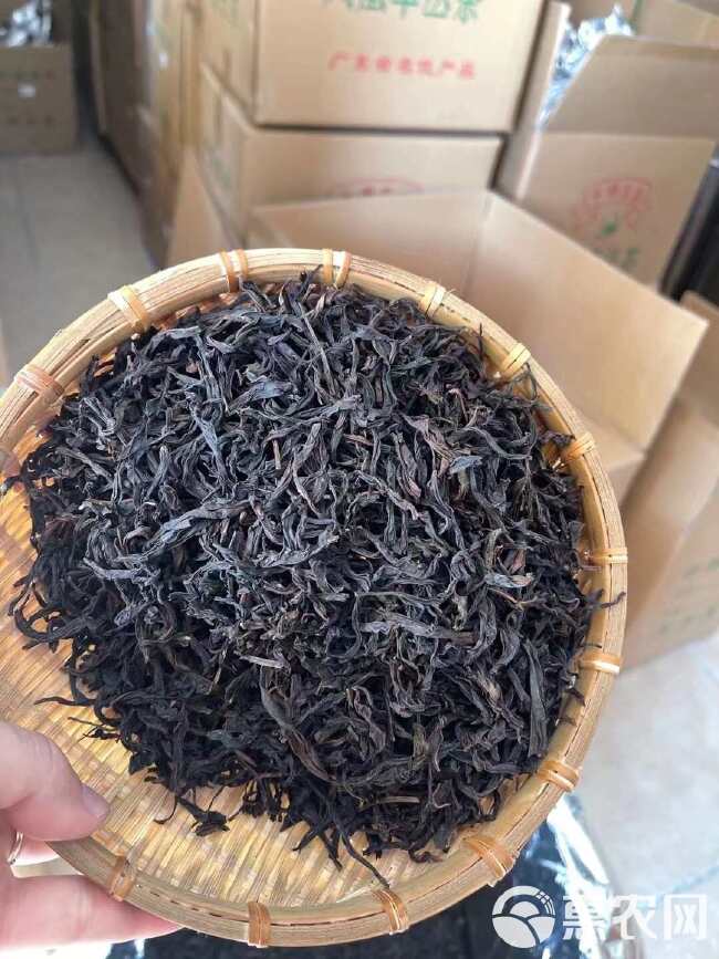 单枞茶 蜜兰香 潮州凤凰单丛茶 乌龙茶 批发价袋装散装单丛茶