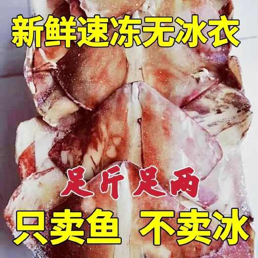 嘉祥县鱿鱼耳 鱿鱼尾 鱿鱼翼 鱿鱼翅膀 新鲜速冻 干冻无冰 纯原