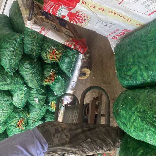 盐城新鲜蚕豆