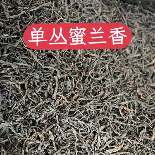 新丰县单枞茶 蜜兰香 潮州凤凰单丛茶 乌龙茶 批发价袋装散装单丛茶