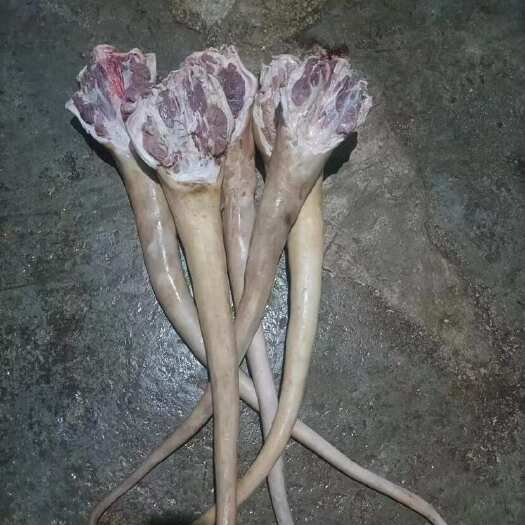 都匀市带皮牛尾