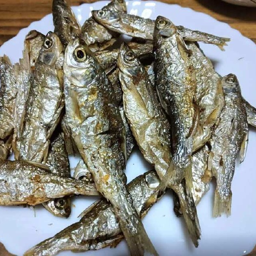 合浦县火焙鱼白条鱼餐条鱼干微量烟熏传统工艺