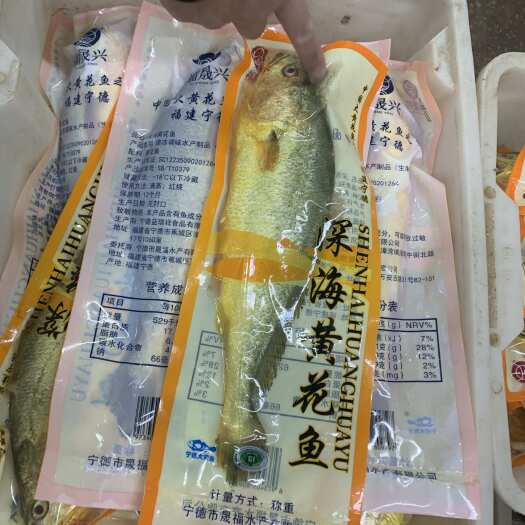 宁德速冻大黄鱼