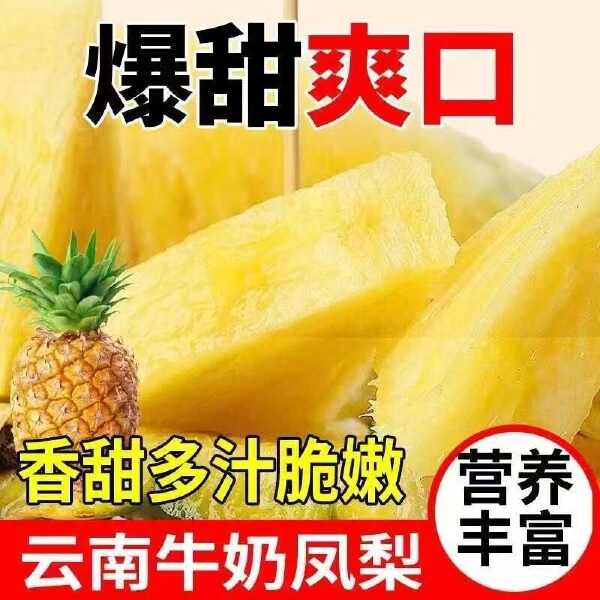 云南牛奶凤梨一件代发1元一斤