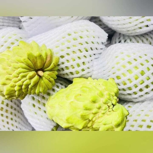丽江释迦果