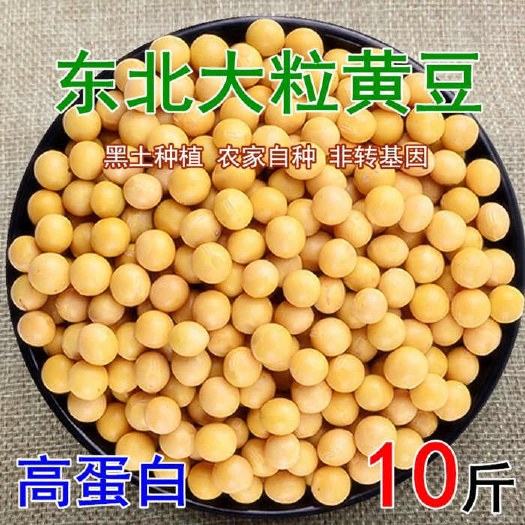 洪江市一批黄豆处理，2.6元一斤，量大包物流