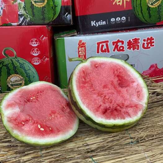 长沙县西瓜