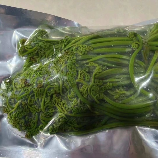 若尔盖县蕨菜