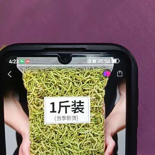 巨鹿县金银花