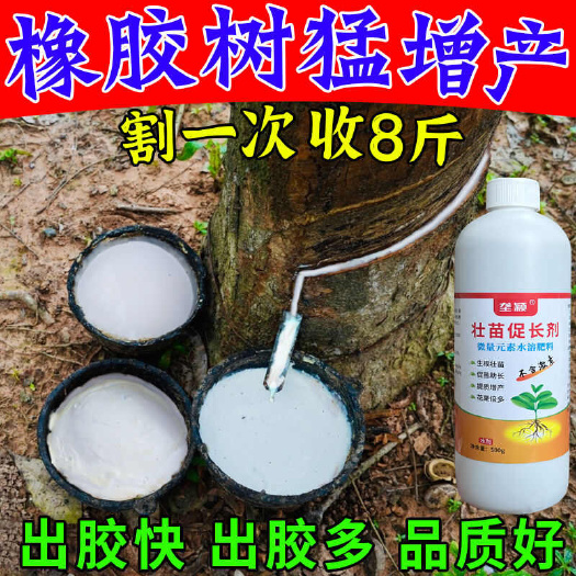橡胶树增产剂刺激酶活性多出胶防治死皮云南海南橡胶树增产营养液