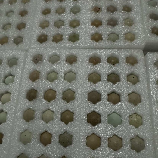 长垣市芦丁鸡蛋