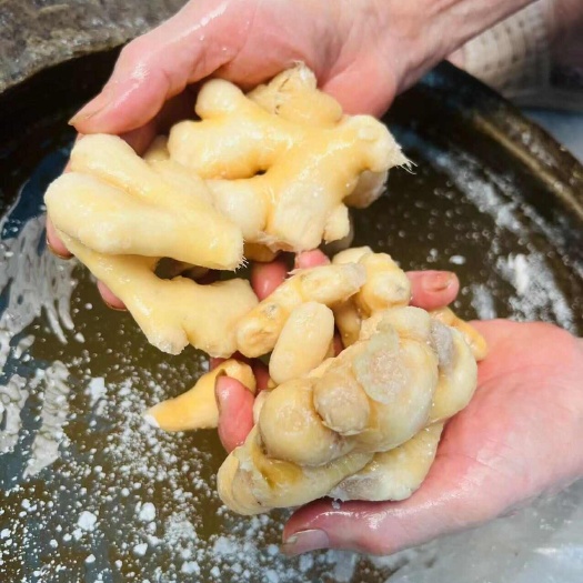 重庆市泡姜