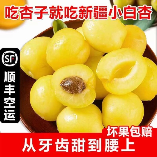 新疆小白杏，新货，甜如蜂蜜一件起发团购