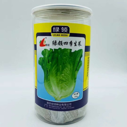 宿迁绿领四季生菜种子半结球耐热耐湿南方四季可播种  罗马生菜种子