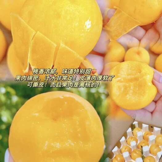 蒙阴县【一件代发】沂蒙黄油桃，现摘现发，品质售后都有保证，包邮。