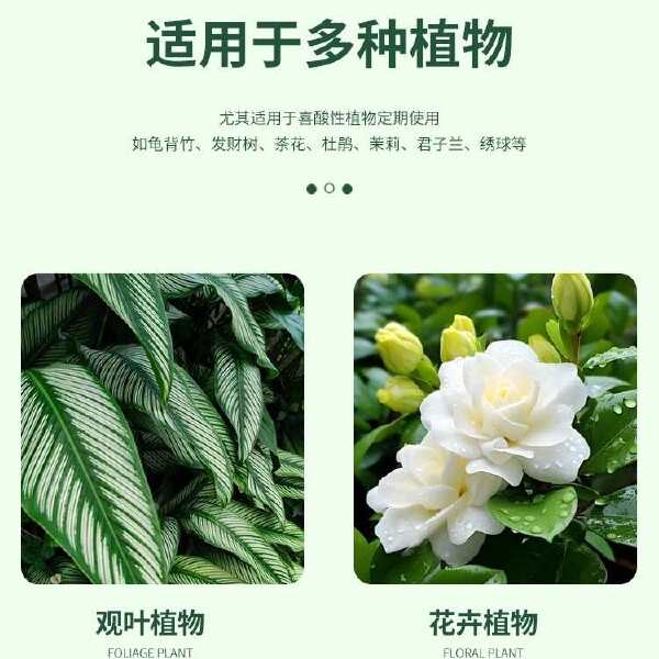 硫酸亚铁花肥料喜酸性植物专用肥果树黄化病黄叶变绿叶调酸土壤